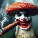 pasen-la-imagen-más-cagada-que-tengan-en-su-galería-v0-wlcipg44ud9f1