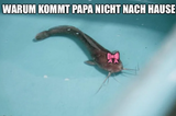 Unbenannt