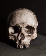 360_F_144551111_jO8ynHZHq30zEVMDUtVyjkVut7HqHfoq