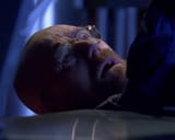 in-fly-do-you-really-think-walt-was-sorry-or-was-he-just-v0-qr5mc94pwmub1