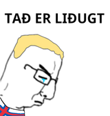 taðerliðugt 2