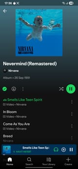 Screenshot_20250627_173623_Spotify