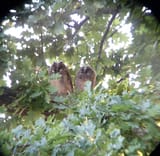 DSC00237