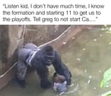 Harambe