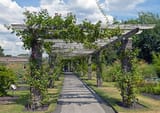 1280px-Rose_Pergola_at_Kew_Gardens