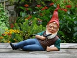 gnomes
