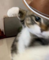 1748095149789