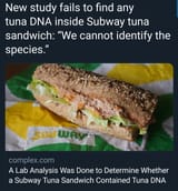 1624415077693