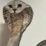 1747198675066303