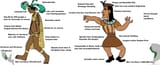 chad Inca