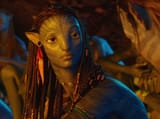 avatar neytiri