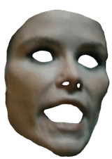 1739029646088219