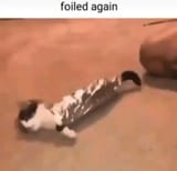 1715632187300711