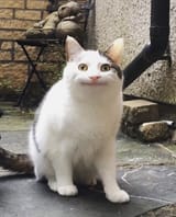 1633463530237