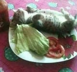GuiGA2qWYAEvwdt.jfif