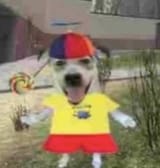GahZ0nPWUAAa8oY