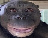 1000018450