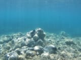 IMG_20250628_184421_SING0543