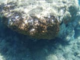IMG_20250628_184434_SING0542