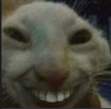 1747585135182760