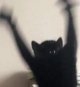 1719463592950880