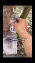 1751137603726621_thumb.jpg