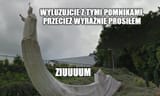 pomnik.jpg__2000x0_q85_subsampling-2