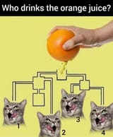 1740496418392264