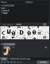 1748355696141335