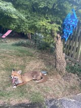 img 4891