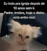 98h91o6ply0f1