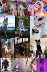 murrsuit