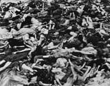 a-pile-of-dead-emaciated-bodies-victims-of-a-nazi-concentration-camp-the-bodies-are-either