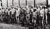 prisoners-of-the-mauthausen-concentration-camp