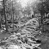 this-scene-at-the-nazi-concentration-camp-at-belsen-shows-part-of-the-endless-pile-of-corpses