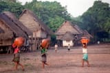 Pucallpa