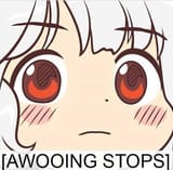awoostop