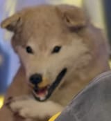 4356576