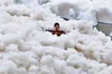 yamuna pollution india
