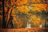 Autumn-colours-over-lake