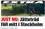träd