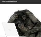 funny-monkey-monkey-i-dont-know