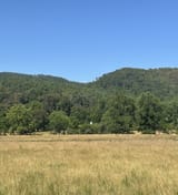 IMG_0700