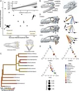 pnas.2411138122fig01