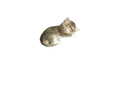 1744578402079351