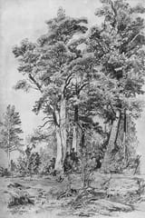 in-the-forest-1889