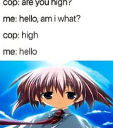 dsgfdvd