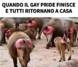 GunGlJZXkAA80Zz