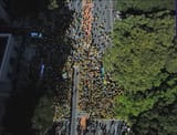 Captura de tela 2025-06-29 160319