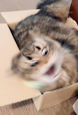 GSgCfMGXUAAJgS5